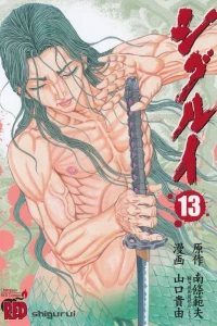 Volume 13