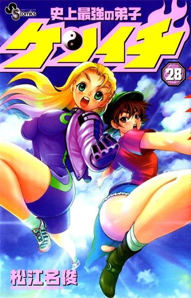 Cover of Volume 28