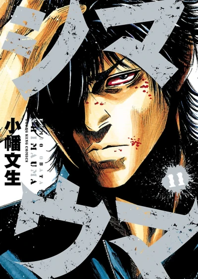 Cover of Vol. 11