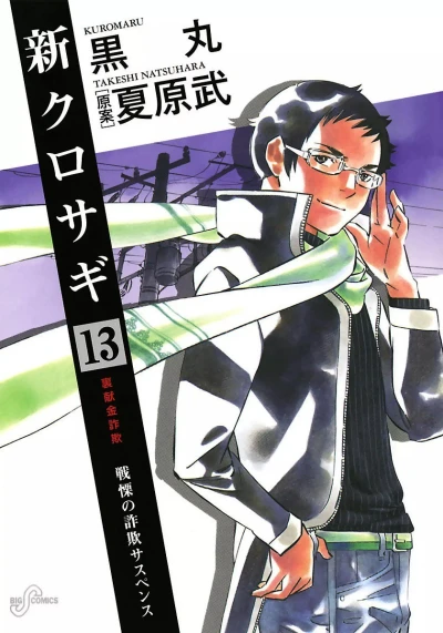 Cover of Vol. 13