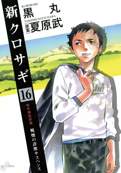 Cover of Vol. 16
