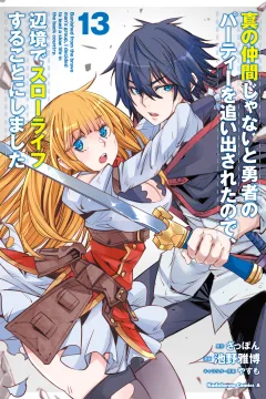 Vol. 13