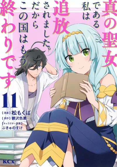 Cover of Vol. 11