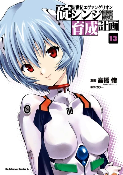 Cover of Vol. 13