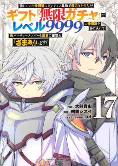 Cover of Volume 17