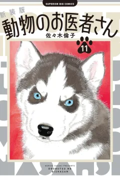 Vol. 11