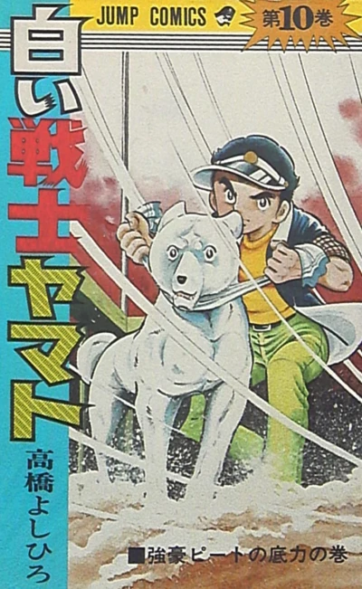 Cover of Vol. 10