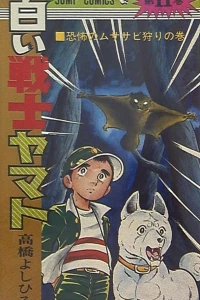 Vol. 11