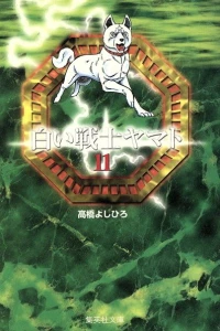 Vol. 11