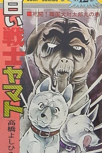 Vol. 12