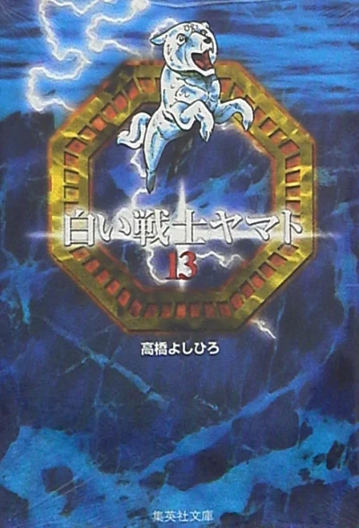 Cover of Vol. 13