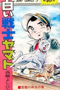 Vol. 16
