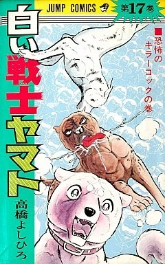 Cover of Vol. 17