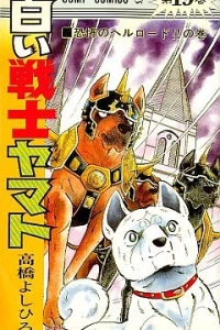Vol. 19