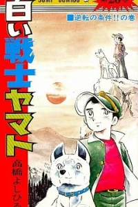 Vol. 20