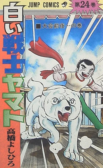 Cover of Vol. 24