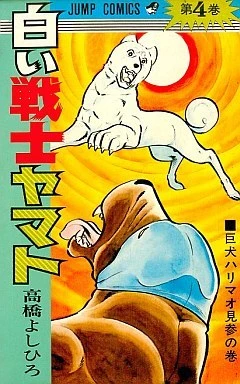 Cover of Vol. 4