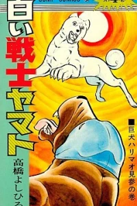 Vol. 4