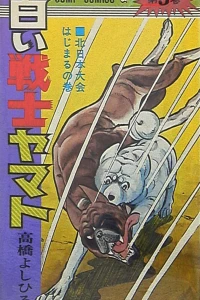 Vol. 5