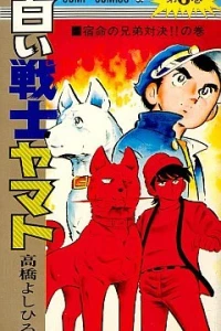 Vol. 6