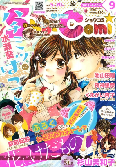 Cover of No. 9, 2013