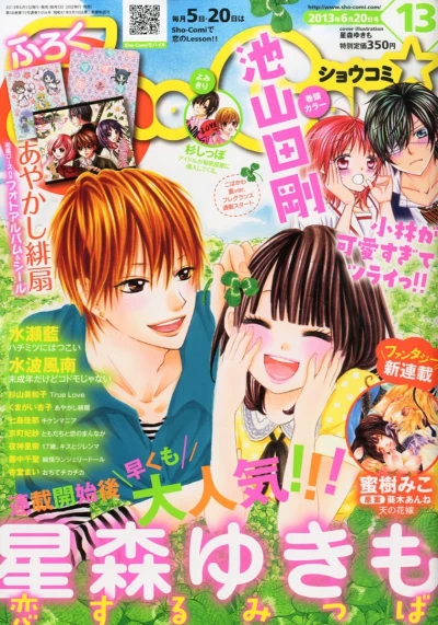Cover of No. 13, 2013