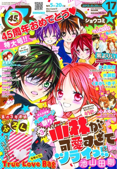 Cover of No. 17, 2013