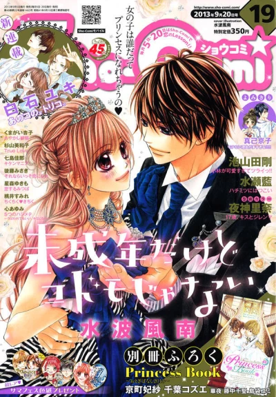 Cover of No. 19, 2013