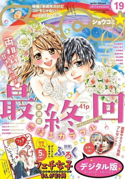 Cover of No. 19, 2017