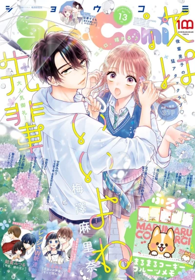 Cover of No. 13, 2022