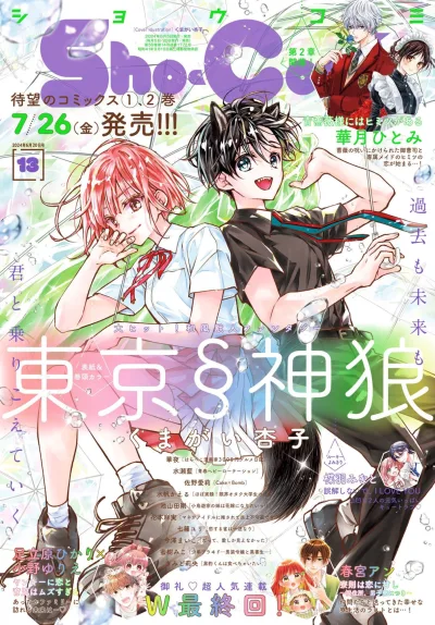 Cover of No. 13, 2024
