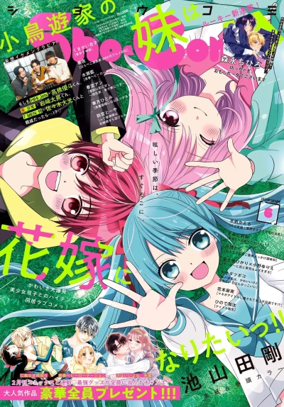 Cover of No. 6, 2024