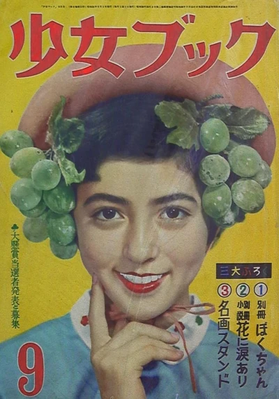 Cover of Volume #195609