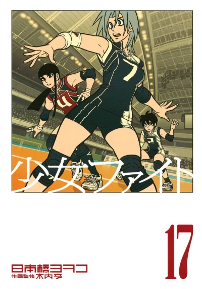 Cover of Volume 17
