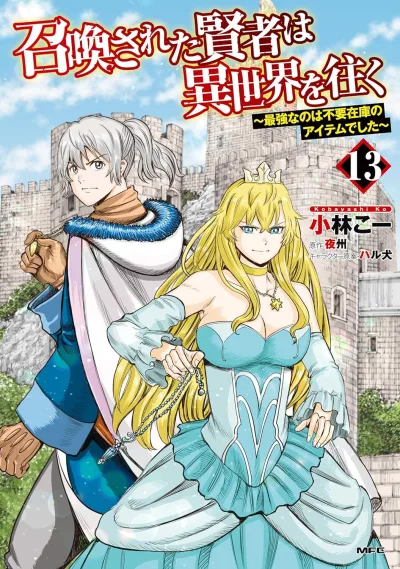 Cover of Volume 13