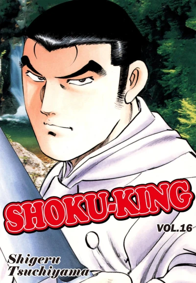 Cover of Vol. 16