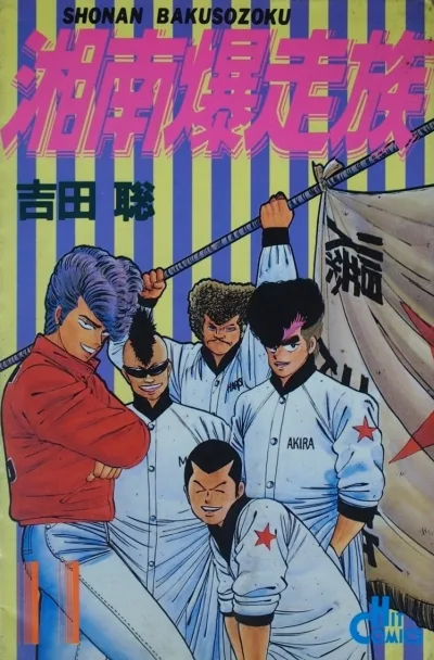 Cover of Vol. 11