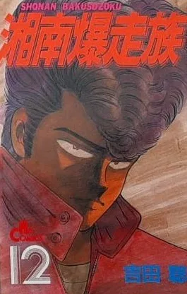 Cover of Vol. 12