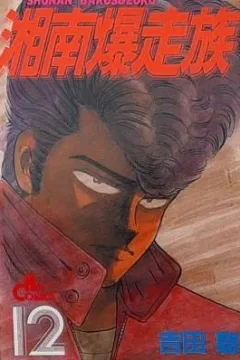 Vol. 12