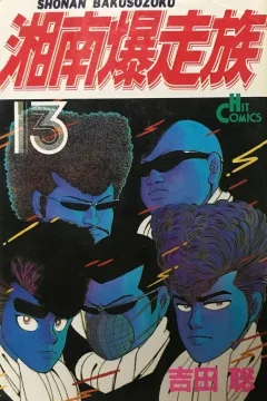 Vol. 13