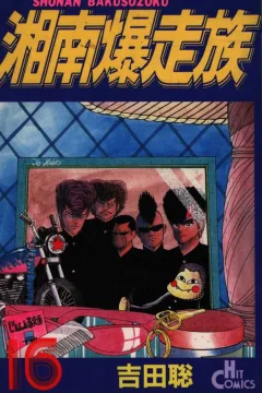 Vol. 16
