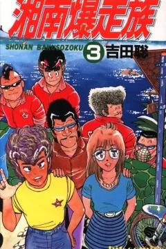 Vol. 3