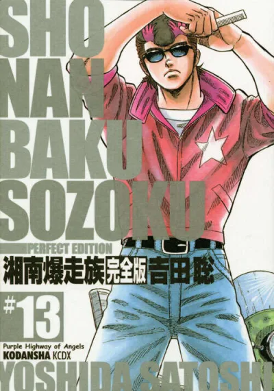 Cover of Vol. 13