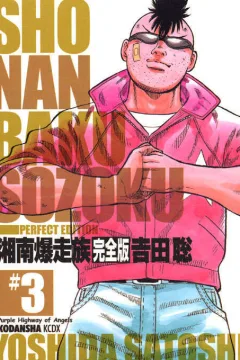 Vol. 3