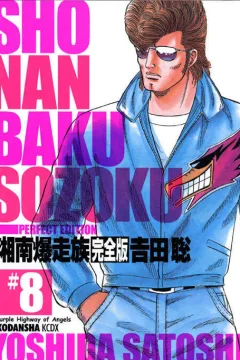 Vol. 8