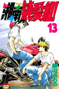 Vol. 13