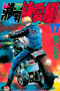 Vol. 17