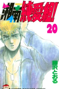 Vol. 20