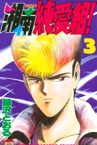Vol. 3