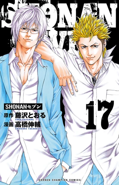 Cover of Vol. 17
